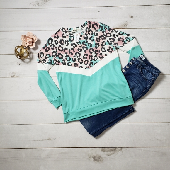 Plus Pastel/Mint Chevron Animal Print Top - Picture 1 of 4